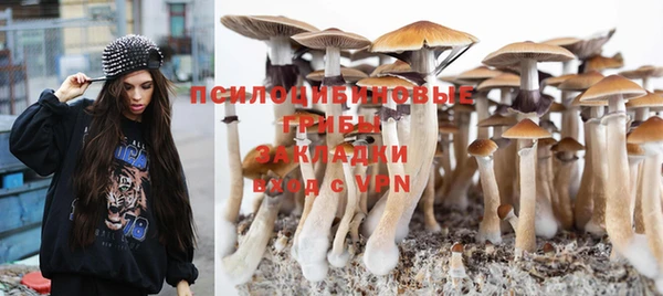 не бодяженный Богородицк