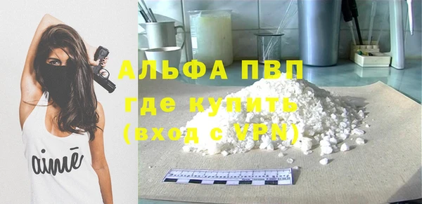 шишки Жердевка