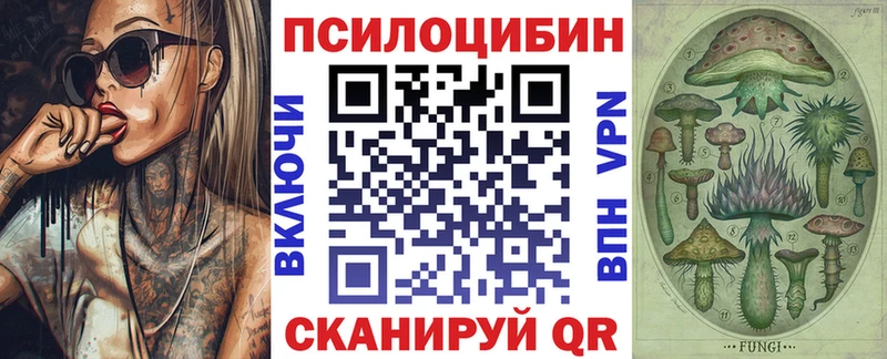 дарк нет состав  Кстово  Галлюциногенные грибы Psilocybine cubensis  купить закладку 