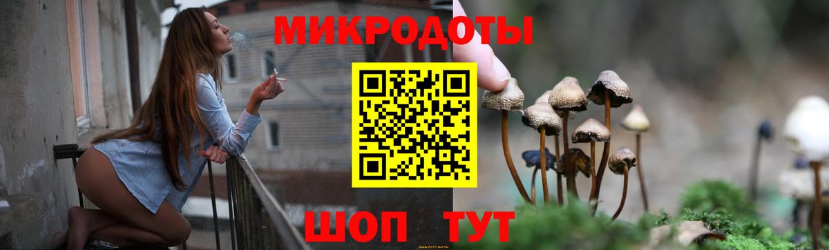 дарнет шоп  Вход с VPN  Галлюциногенные грибы GOLDEN TEACHER  Кстово  Псилоцибиновые грибы прущие грибы 