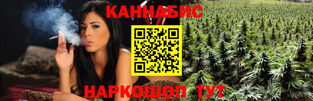 Конопля индика Кстово